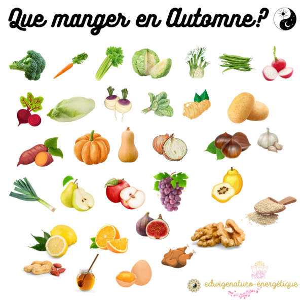 Alimentation d'automne