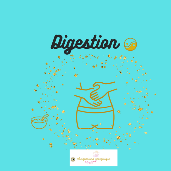 Digestion et  saison Terre