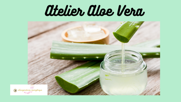 Atelier aloe vera