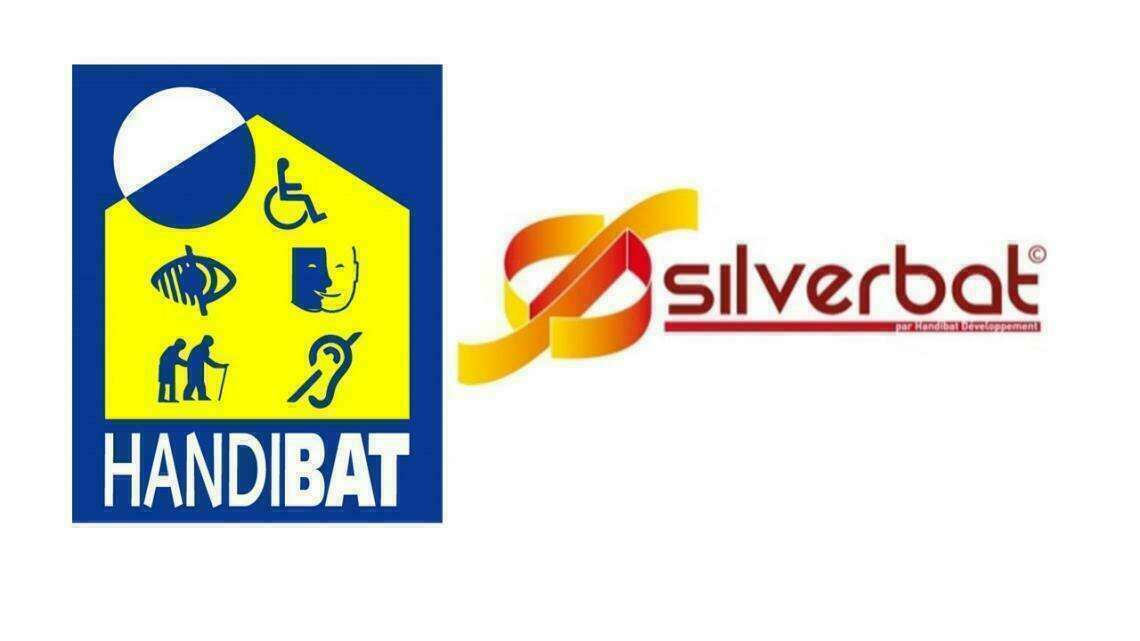 HandiBat / SilverBat