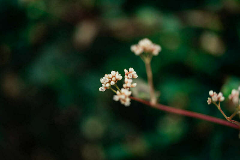 ca10837720240403-125160-1dez6u6