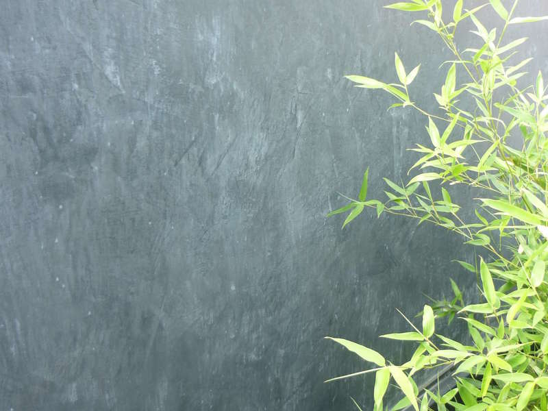 p102001920190522-455492-74o06d