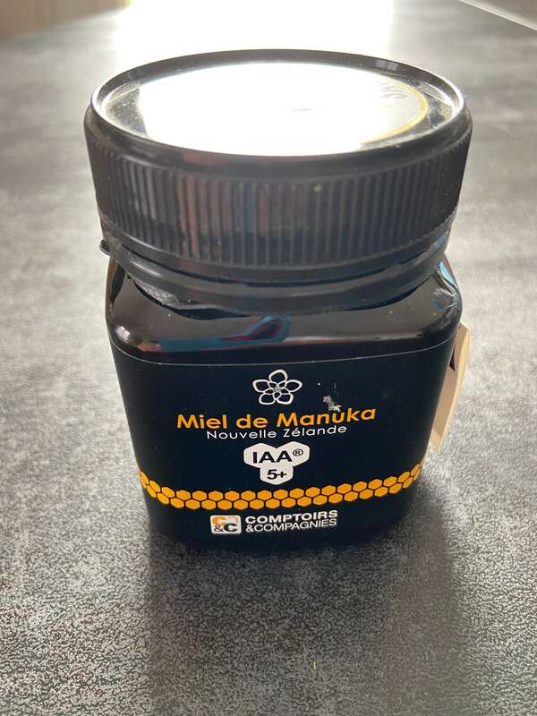 Découverte du miel de manuka