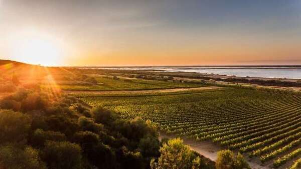 Conciergerie à Fitou : développer votre location saisonnière dans un environnement authentique