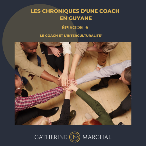 Pourquoi des dysfonctionnements ? épisode 7