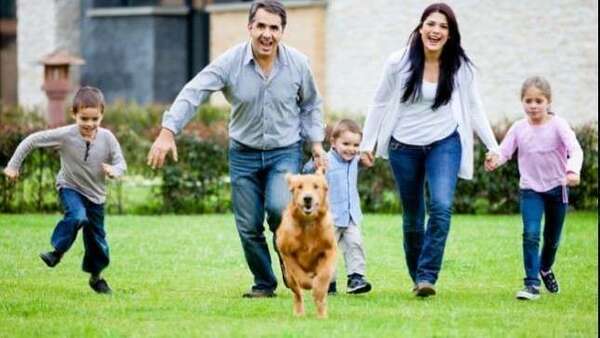 La Protection familiale : 11 millions d'accidents de la vie courante chaque année, comment avez-vous prévu de protéger vos proches  ?