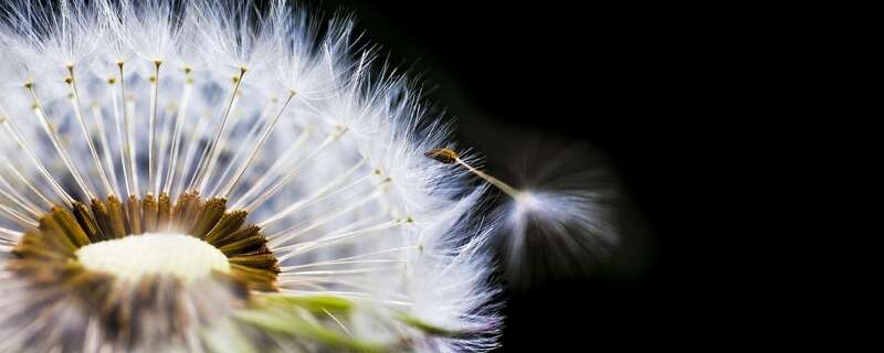 Libération, rééquilibrage énergétique