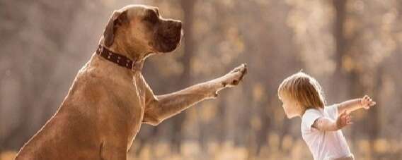 Accompagnement, coaching personnel et énergétique