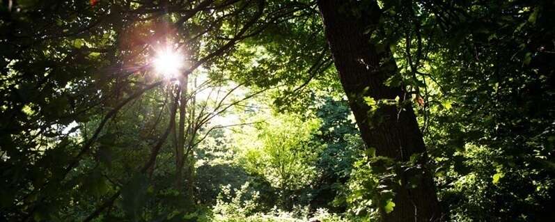 Groupe de développement personnel et énergétique