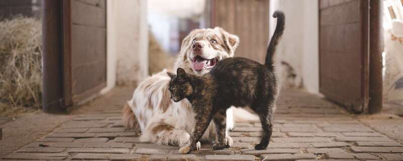 Libération, rééquilibrage énergétique