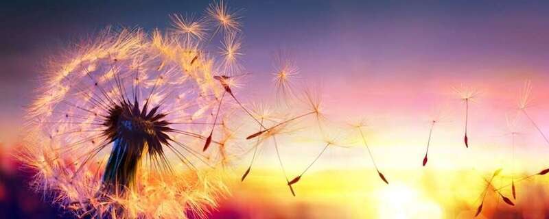 Libération, rééquilibrage énergétique