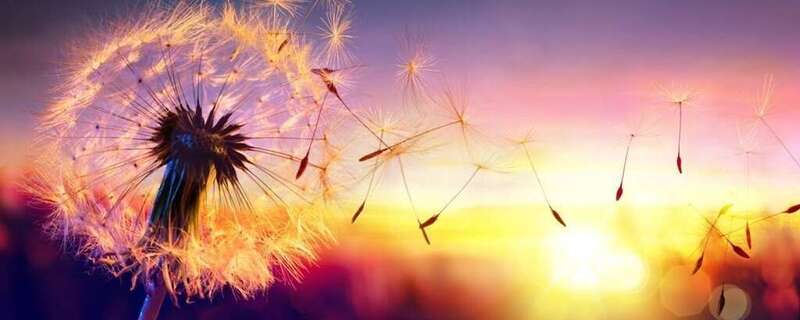 Rééquilibrage énergétique