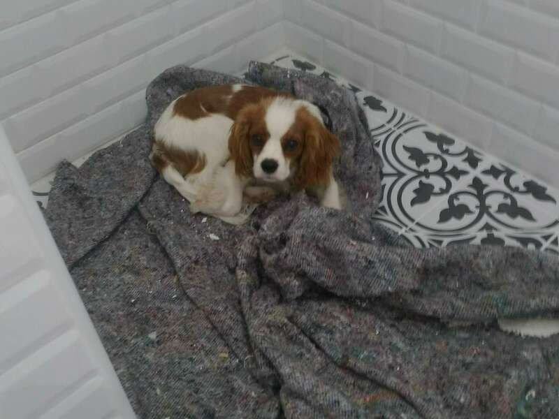 img_20190613_095811_1