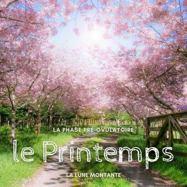 Printemps - Lune Ascendante - Phase Pré-ovulatoire