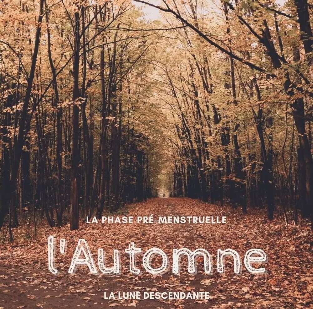Automne - Lune Descendante - Phase Pré-menstruelle