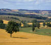 paysage calme près de montauban