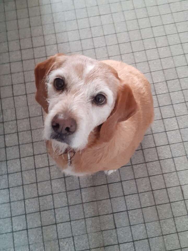 resized_20200503_101811_20211006_210936