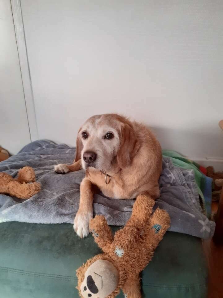 resized_20201122_114711_20211006_210936