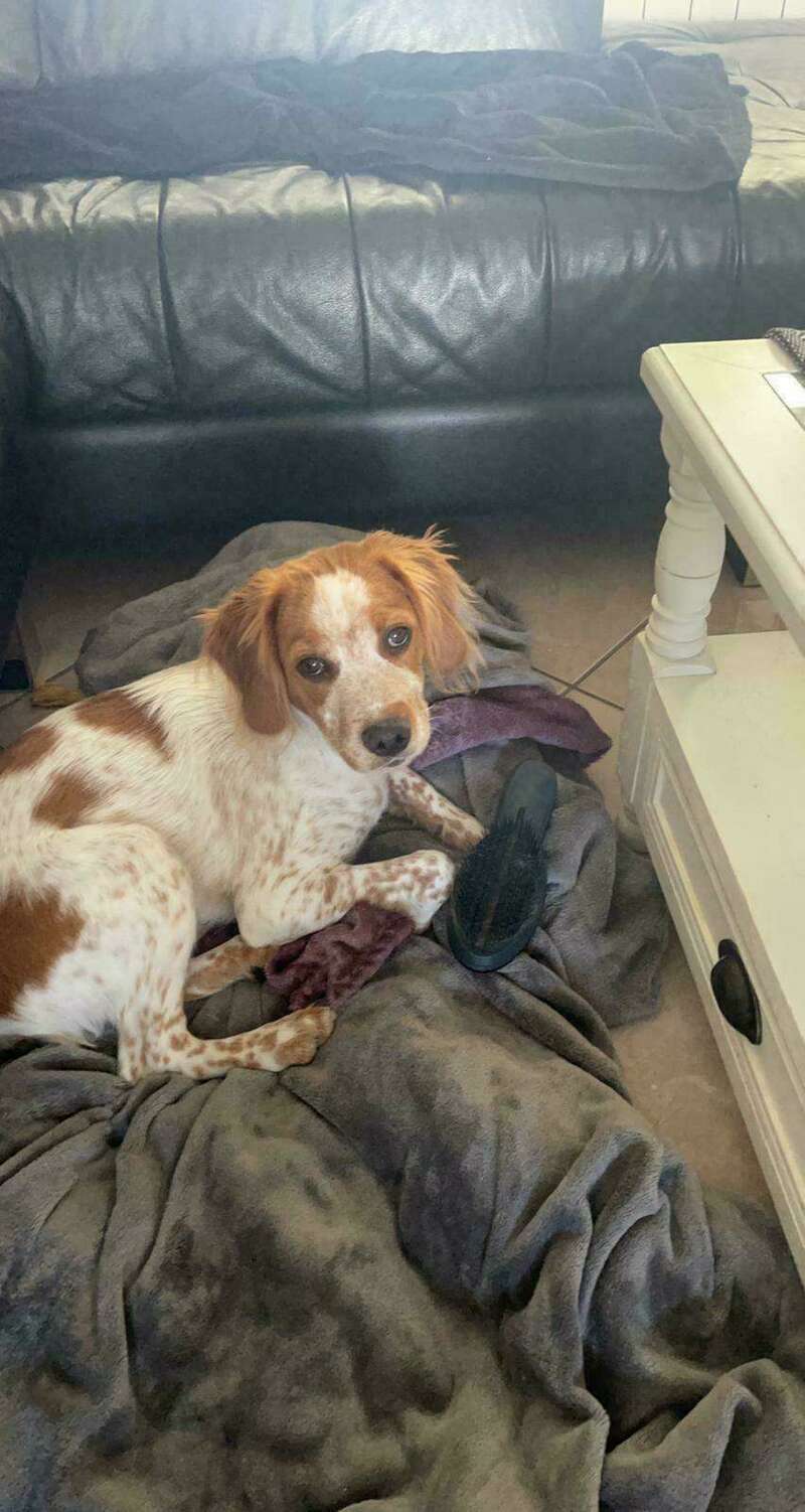 img-20210517-wa00021_20211006_164119