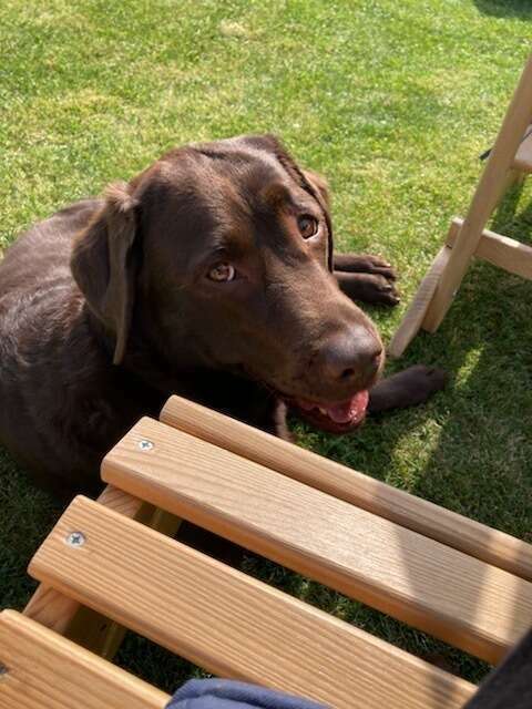 img_238611_20211122_164055