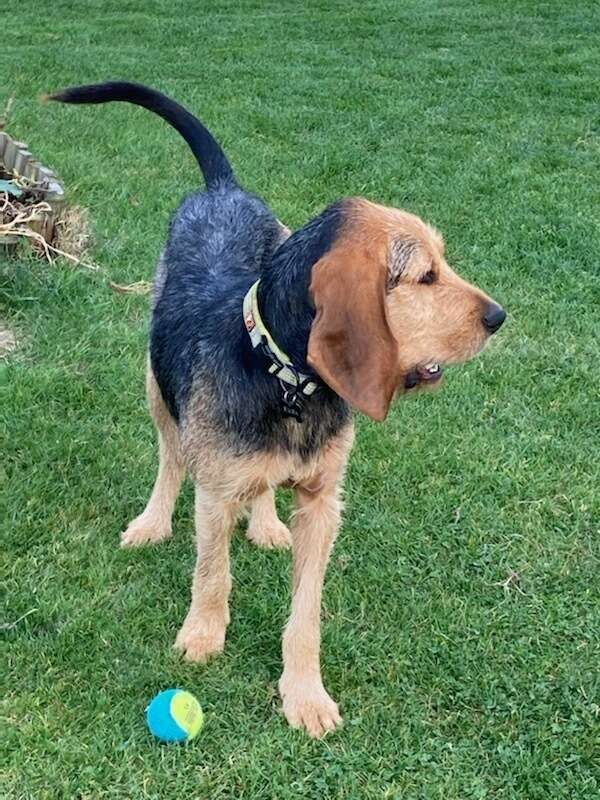 img_262011_20211122_163951