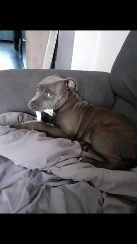 272997021_311064390985088_3795049374199802194_n