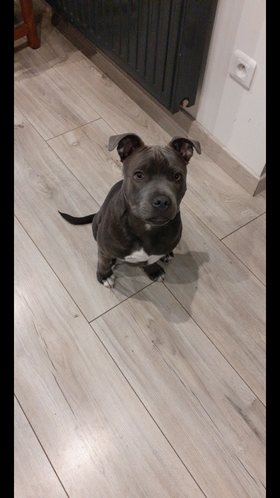 273036371_638687400682244_1227905658007056176_n