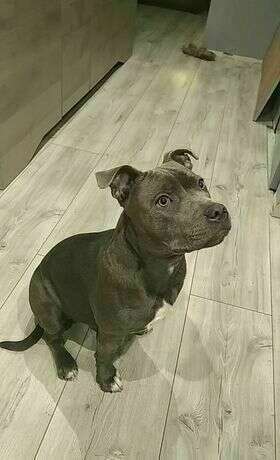 273526331_512176466930540_3301375319793776333_n