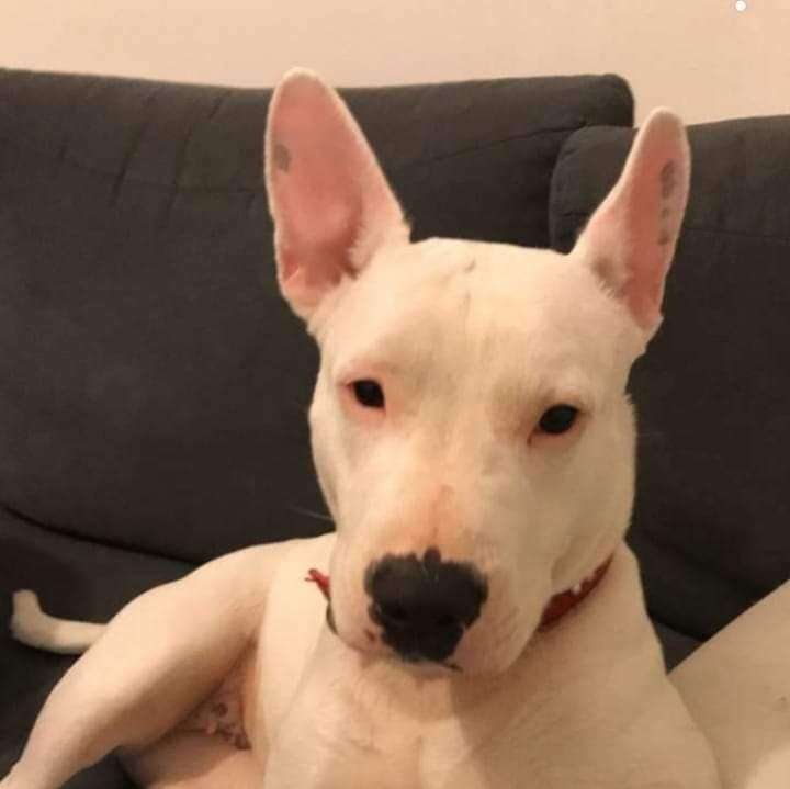 282346560_422432529689222_8499911790156407181_n