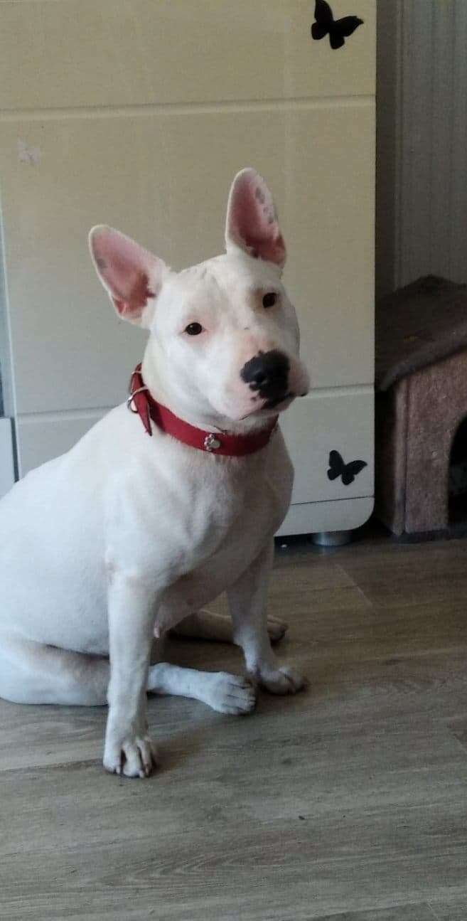 282523534_5149851645135605_2313152939656044345_n