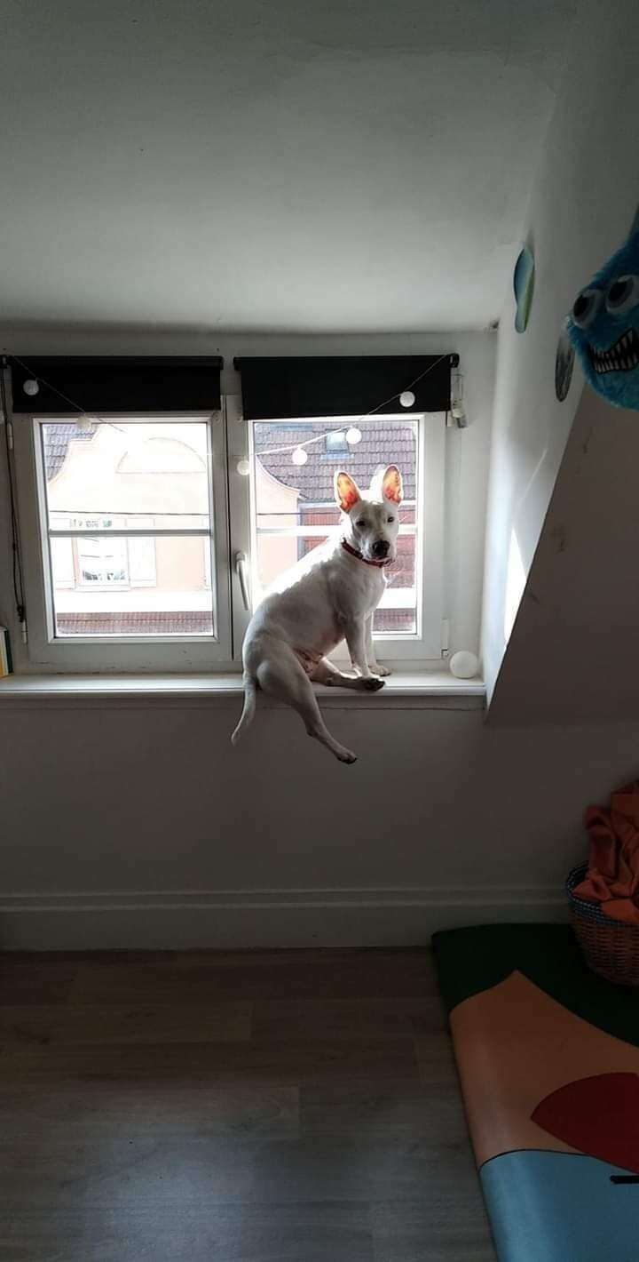 283407615_679752479787828_7339063371250577933_n