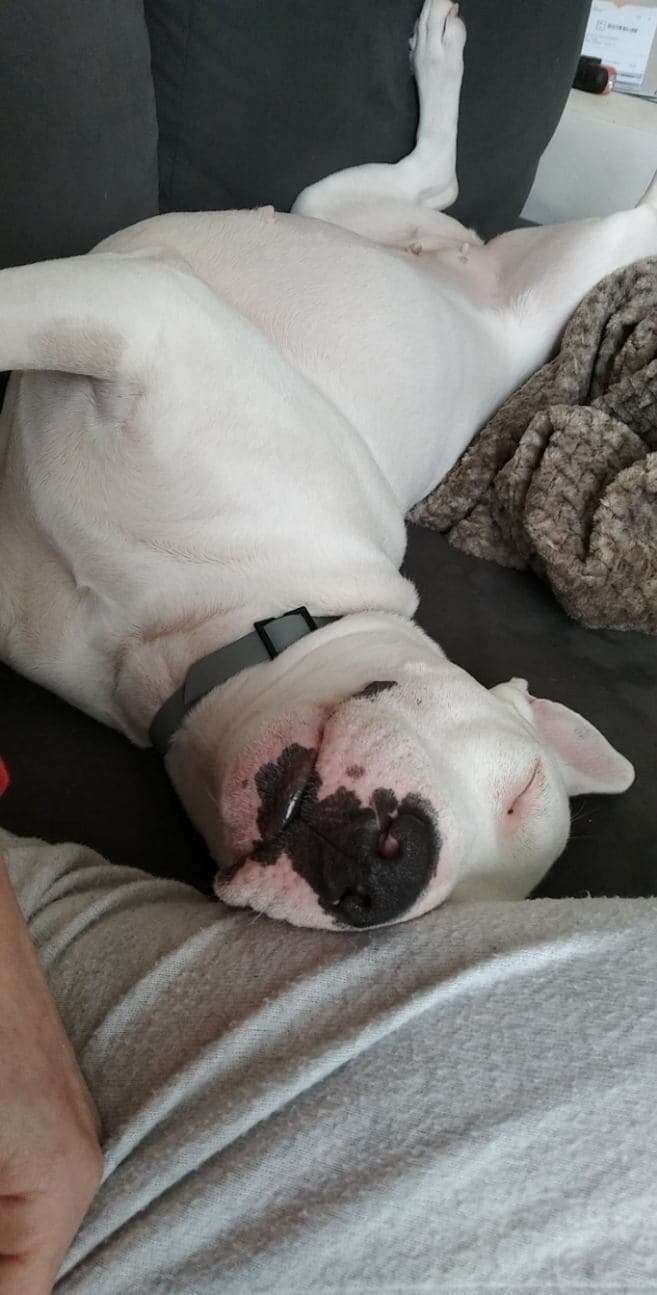 283552036_489926566241132_4734676299227523530_n