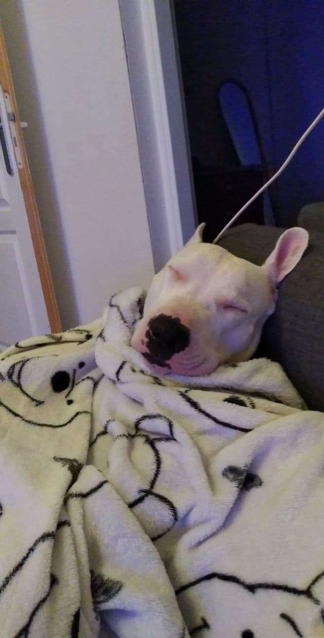 283593975_486745039808054_8923408461548689533_n