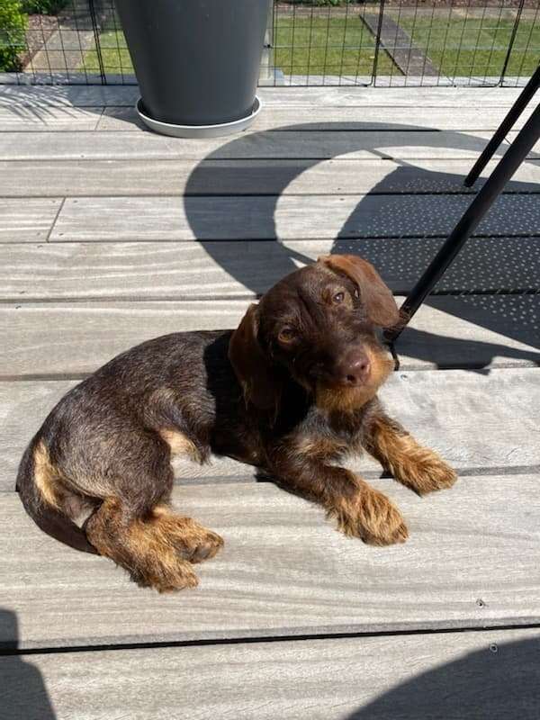 286376207_543751673909559_1175305214261532616_n