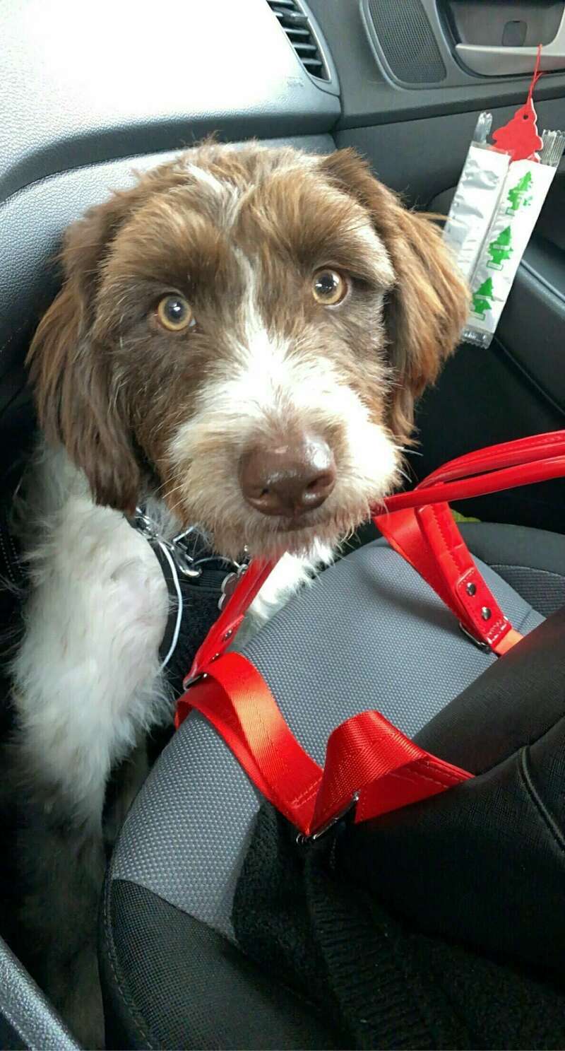 img_648111_20211006_154651