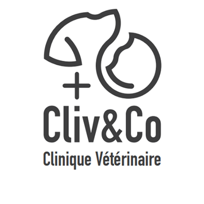 Clinique Vétérinaire à Boulay (Moselle)