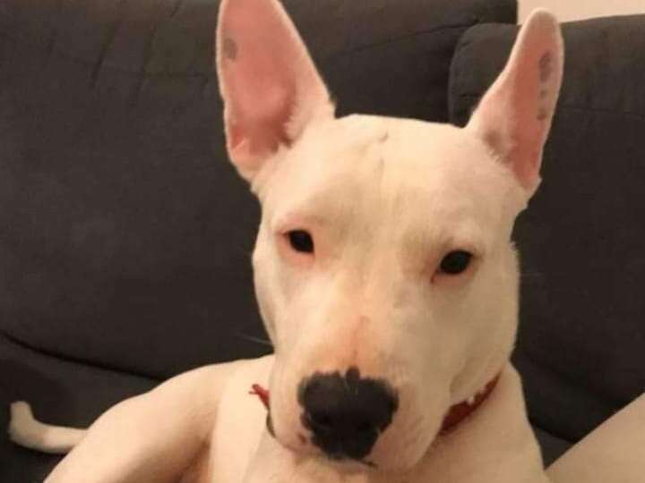 282346560_422432529689222_8499911790156407181_n