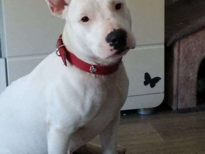 282523534_5149851645135605_2313152939656044345_n