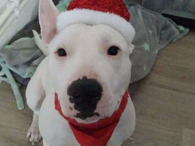 283720323_392693776114407_2052236954760907012_n