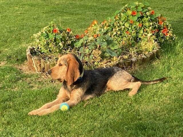 img_262311_20211122_163951