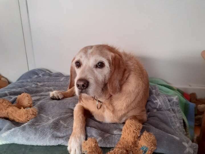 resized_20201122_114711_20211006_210936