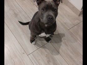 273036371_638687400682244_1227905658007056176_n