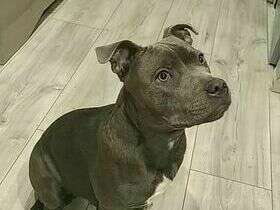 273526331_512176466930540_3301375319793776333_n