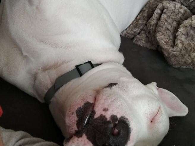 283552036_489926566241132_4734676299227523530_n