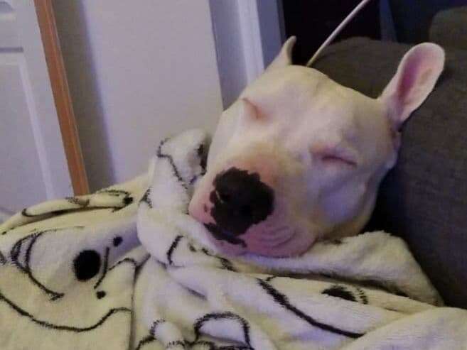 283593975_486745039808054_8923408461548689533_n