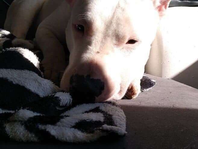 284332546_764803587863907_430407199462429981_n