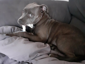 272997021_311064390985088_3795049374199802194_n