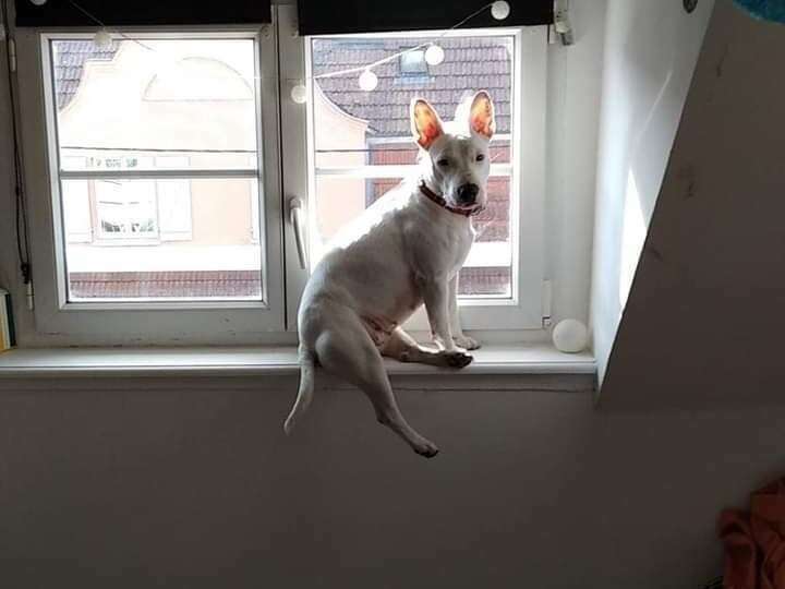 283407615_679752479787828_7339063371250577933_n