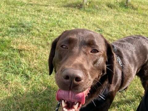 img_242411_20211122_164055