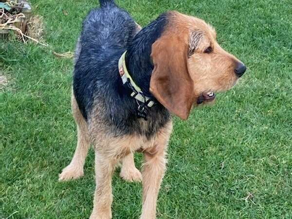 img_262011_20211122_163951